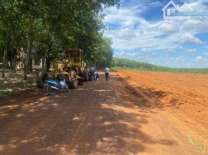 Cần bán lô đất ở tân hoà 1000m2 gần KCN visip chi cần 250 triệu - 2
