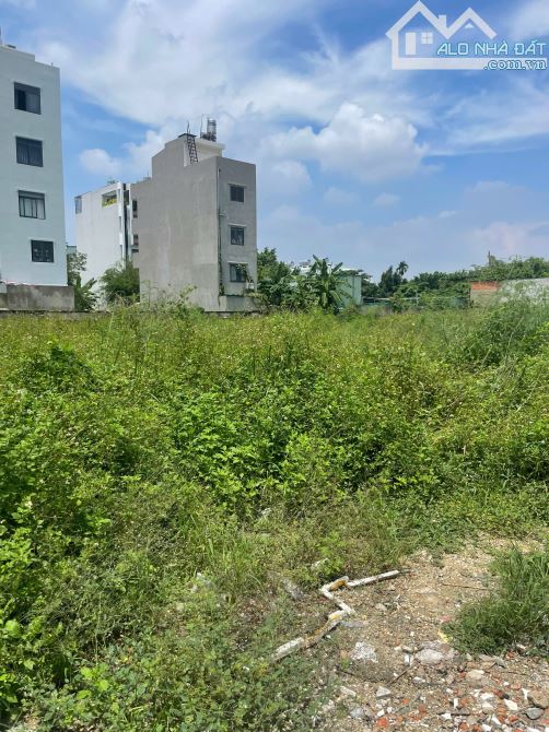 Bán đất 3395m2 full thổ cư giá 115 tỷ Đường 12m Võ Thị Liễu - 2
