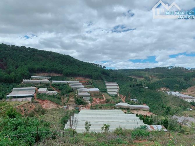 ĐẤT TRÊN ĐỒI CAO VIEW THOÁNG SỔ RIÊNG XÂY DỰNG MĂNGLIN GIÁ RẺ - 2