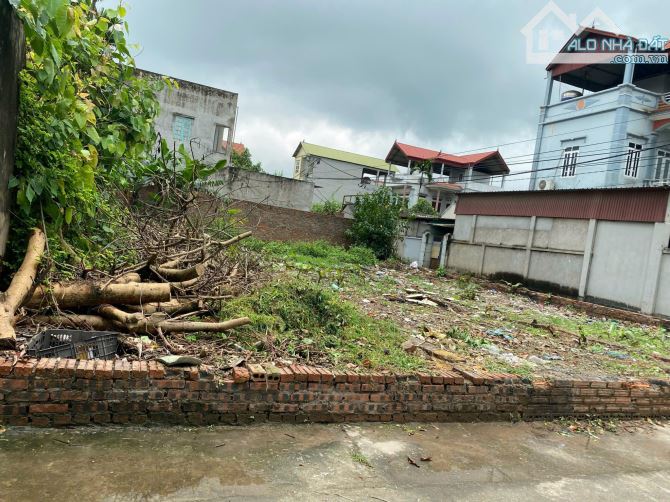 Bán đất 58,9m² Sơn Du - Nguyên Khê, Đông Anh – gần Võ Nguyên Giáp, giá đầu tư - 2