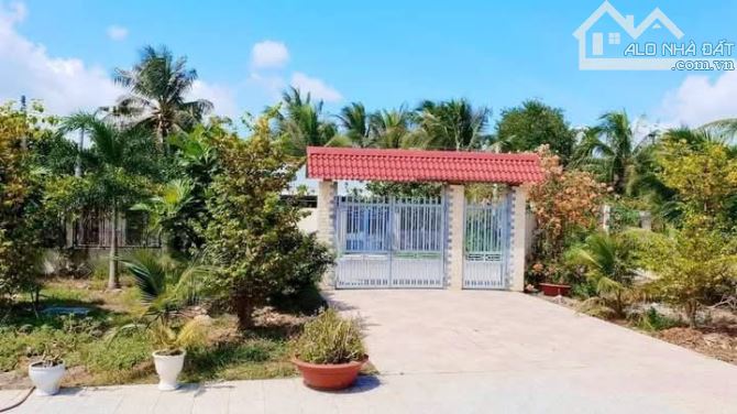 Bán 5.2 mẫu đất vườn đường oto xã quới sơn - 3