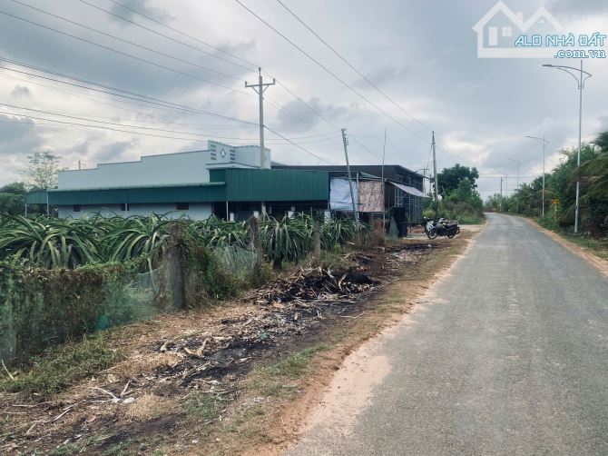 20x80 (1600m2) 100m2 Tc Đinh Công Tráng LaGi Giá Cực Rẻ - 3
