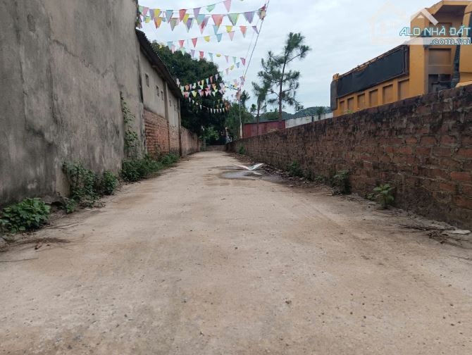 Bán gấp lô đất 1320m² đường 14 - Minh Phú - Sóc Sơn; chỉ 25tr/m², có ra lộc - 3