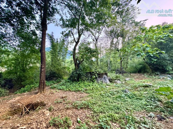 5038m Có 400m Đất Ở, Có Giếng Nước Ngầm, Có Khe Nước Chảy Từ Núi Đá - 3
