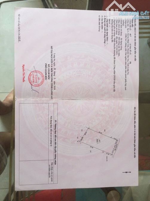 12,522m2 vườn có 1467m2 thổ giá 8,4 tỷ Đường ôtô An Nhựt tân_tân trụ giá ngộp vườn cây trá - 3