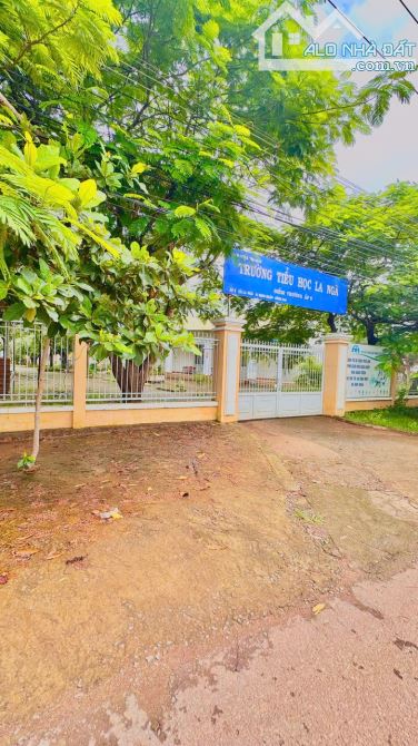 BÁN VƯỜN XOÀI NGAY KHU CÔNG NGHIỆP ĐỊNH QUÁN 1000m2(12mx86m) ĐƯỜNG BÊ TÔNG DÂN CƯ 920TRIỆU - 3