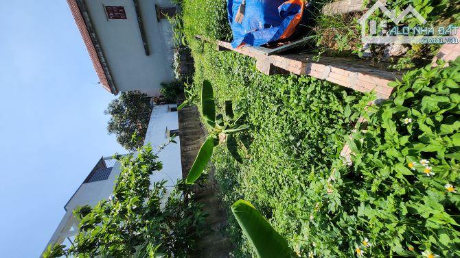 Bán đất Nam Hồng, Đông Anh 65m lô góc, gần hồ công viên. Nhỉnh 3 tỷ - 3