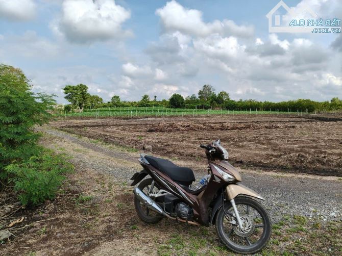 BÁN 1100M2 ĐẤT TẠI XUÂN BẢO, CẨM MỸ ĐÔNG NAI, ĐƯONG THÔNG HAI ĐẦU NHỰA, KHU DÂN CƯ ĐÔNG - 3