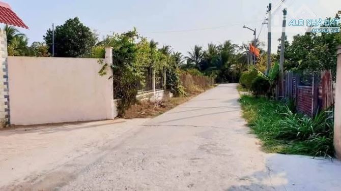 Bán 5.2 mẫu đất vườn đường oto xã quới sơn - 4