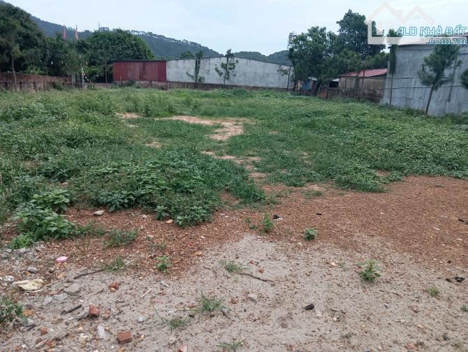 Bán gấp lô đất 1320m² đường 14 - Minh Phú - Sóc Sơn; chỉ 25tr/m², có ra lộc - 5