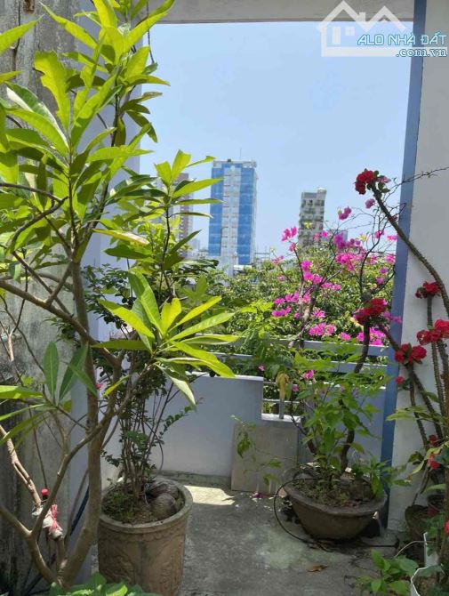 🔥 SIÊU PHẨM MẶT PHỐ NGUYỄN CHÍ THANH – HIẾM CÓ KHÓ TÌM – SỔ VUÔNG ĐÉT - 5