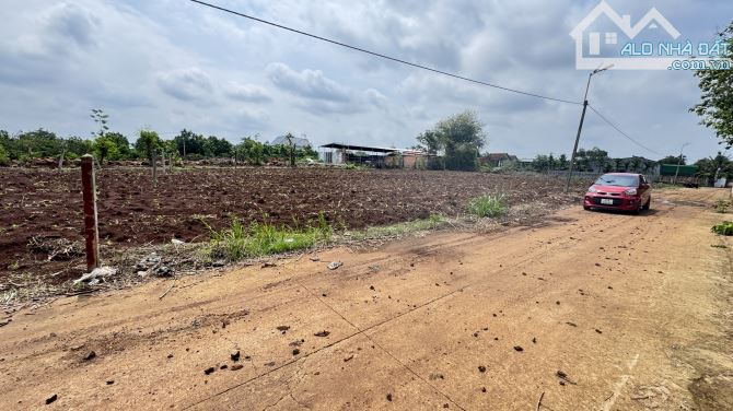 15x32m ĐẤT THỔ CƯ 100% NGAY HẺM CẤP 1 QL14-HOÀ PHÚ. - 6