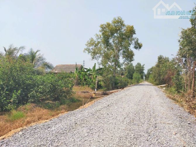 Quá thơm, 1000m2 đất vườn View Kênh cực đẹp chỉ 580tr - 6