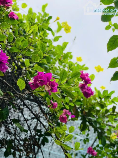 DUY NHẤT SỞ HỮU NHÀ MẶT TIỀN ĐƯỜNG MINH MẠNG THÀNH PHỐ HUẾ 110M2 GIÁ CHỈ 3  TỶ 350 TRIỆU - 6