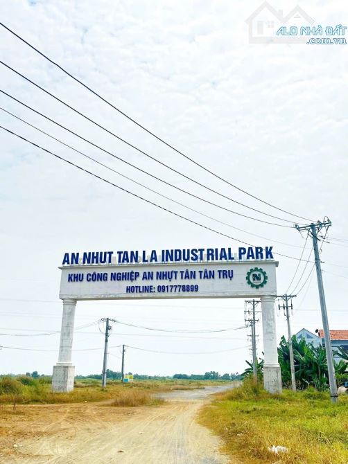 12,522m2 vườn có 1467m2 thổ giá 8,4 tỷ Đường ôtô An Nhựt tân_tân trụ giá ngộp vườn cây trá - 9