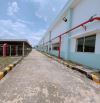 Cho thuê xưởng FDI KCN Amata, Long Bình, Biên Hòa, 3100m2, giá thuê 292tr/tháng.
