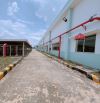 XT276 Cho thuê xưởng FDI KCN Amata P.Long Bình Tp Biên Hoà ĐN - Giá thuê 292 tr / Tháng  -