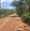 Hạ giá! bán lô đất sào sẵn thổ cư xã Quảng Thành, Châu Đức, Bà Rịa Vũng Tàu