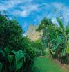ĐẤT HOMESTAY  TRƯỜNG YÊN HOA LƯ -  GẦN  ĐƯỜNG TRÀNG AN - HOA LƯ