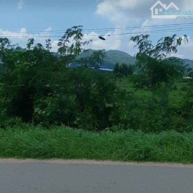 7,5 sào đất đẹp 3 mặt tiền QL1A cách nút giao cao tốc 5,5km