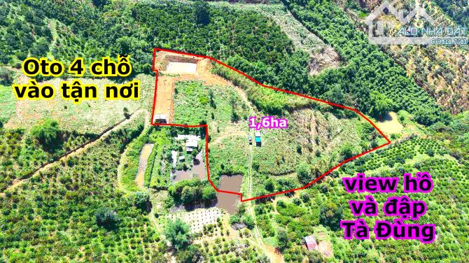 Đất view Tà Đùng đẹp rẻ oto 4 chỗ vào tận nơi