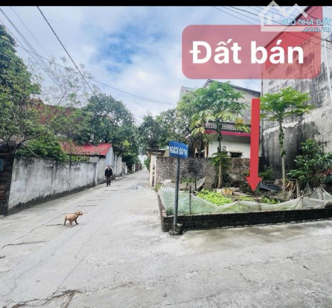 Nam Hồng- Đông Anh - 62m- Lô góc cực đẹp- Ngõ thông- ô tô tránh- Ngay Cao tốc- nhỉnh 3 tỷ