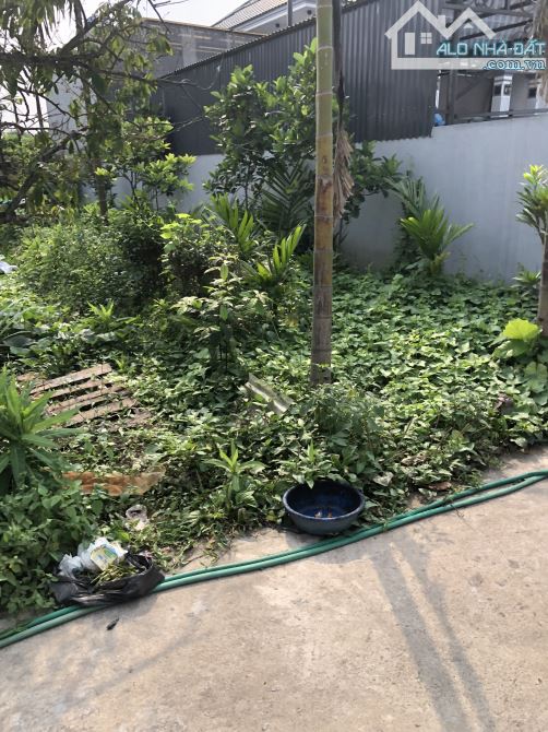 Bán đất Xâm Xuyên, Hồng Vân, Thường Tín – 100m² – Ô tô tải đỗ cửa – Giá chỉ 4x triệu/m²