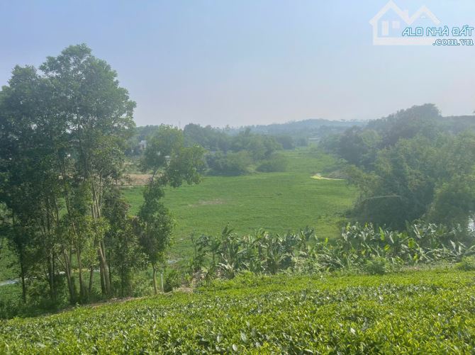 Bán 1440m2 đất tại thôn 2, Ba Trại, Ba Vì, Hà Nội.  Giáp dự án FLC View hồ