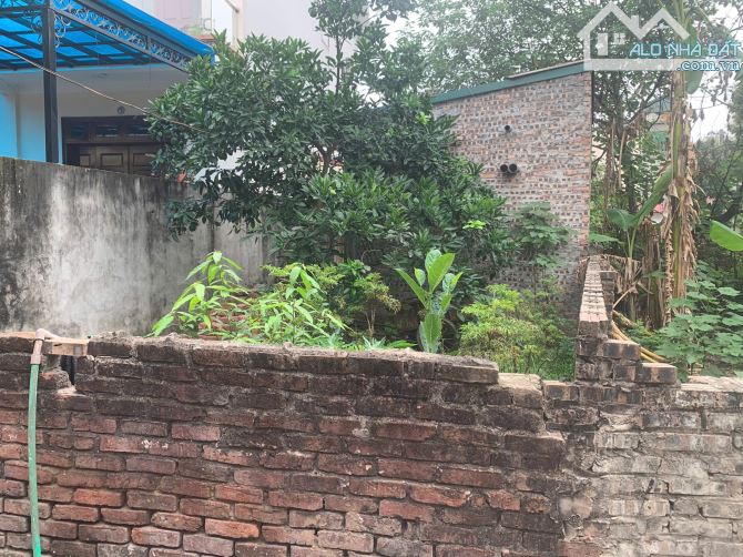 CHỈ HƠN 5.3 TỶ SỞ HỮU LÔ ĐẤT ĐẸP RỰC RỠ TẠI KIM Nỗ, ĐÔNG ANH