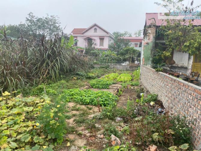 Bán đất tại Phú An, Cao An, Cẩm Giàng, Hải Dương, 950 triệu, 97m2