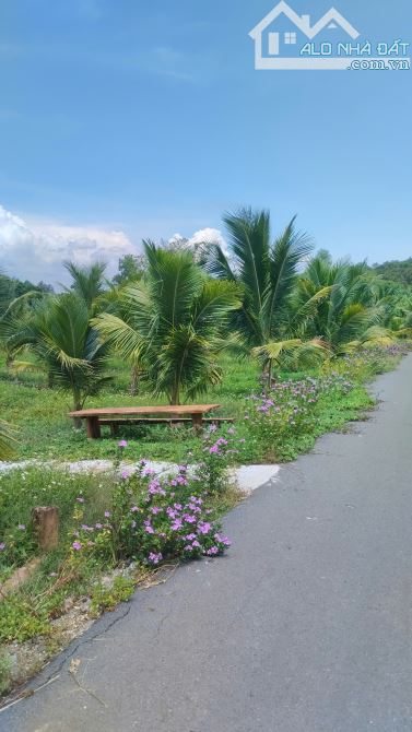 Đất nghỉ dưỡng 6 mẫu 9 Kim Long – mặt tiền 800m, đường nhựa, gần hồ thơ mộng