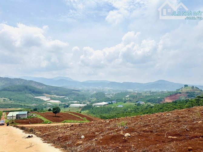 ✨ View Thị Trấn Săn Mây Cực Đỉnh, 449M2 (12x40M), có 86M2 THỔ CƯ, đường Bê Tông 6M - 719TR