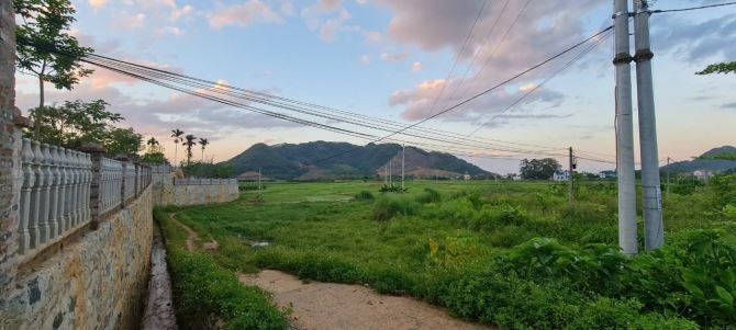 Mặt đường tỉnh lộ 446,chủ cần bán 1400m2 400m thổ cư thế đất cao thoáng view cánh đồng Yên - 1