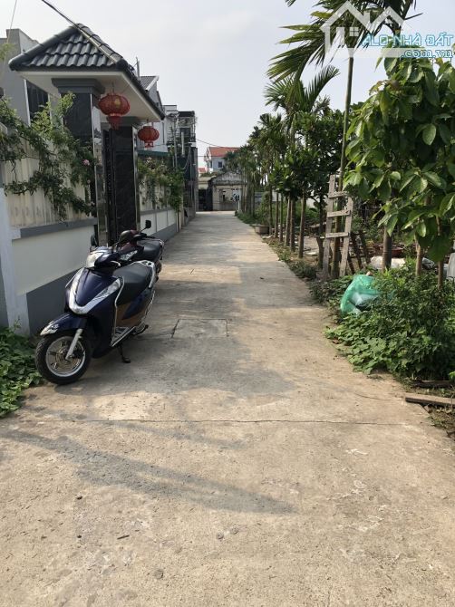 Bán đất Xâm Xuyên, Hồng Vân, Thường Tín – 100m² – Ô tô tải đỗ cửa – Giá chỉ 4x triệu/m² - 1