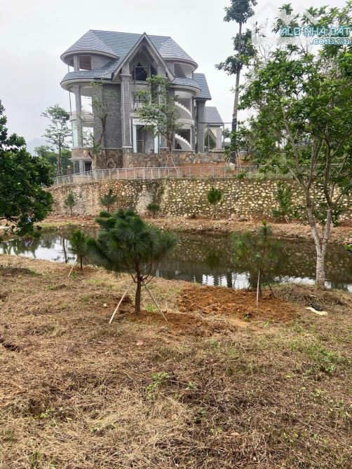 Chính chủ gửi bán  4400m2 đối diện khu nghỉ dưỡng Làng Châu Âu Yên Bình Thạch Thất - 1