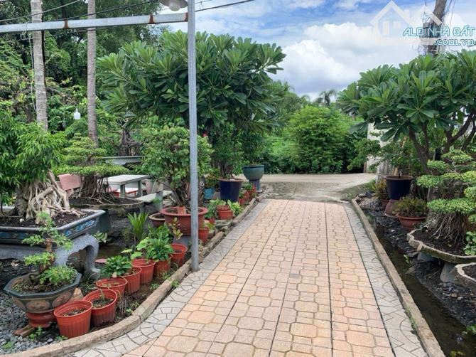 Bán đất thổ cư đường vườn lài phường an phú đông quận 12 - 1