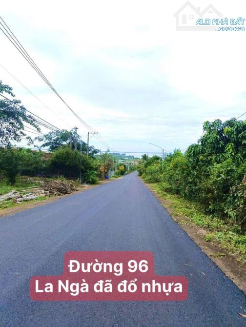 Bán đất vườn sầu riêng 2002m2 gần hồ Trị An mát mẻ, giá chỉ 1,6 tỷ, đường ô tô - 1