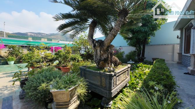 Bán nhà sân vườn 628.8m2 Thôn Xuân Sơn Xã Vĩnh Trung. - 1