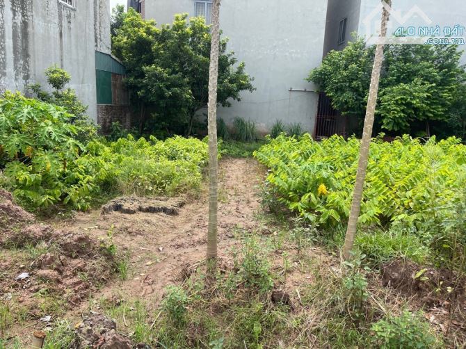 BÁN ĐẤT AN LẠC – GẦN TRUNG TÂM HỌC VIỆN NÔNG NGHIỆP – 36M2 – GIÁ CHỈ 4 TỶ - 1