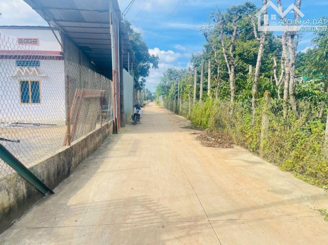 ĐẤT ĐẦU TƯ ĐỐI DIỆN UBND XÃ EATU CHỦ CẦN BÁN GẤP - Loctran - 1