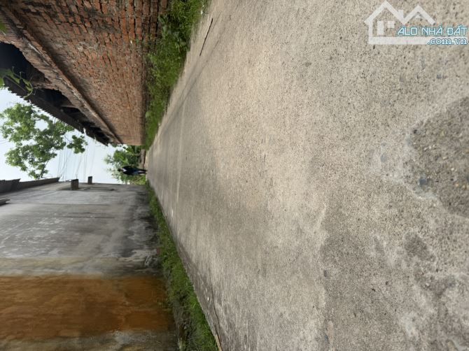 CẦN BÁN GẤP 💥🚀 LÔ ĐẤT ĐẸP GIÁP HỒNG HẢI-VĂN LÂM -HƯNG YÊN-ĐƯỜNG ÔTÔ-124M2-1ty8xx - 1