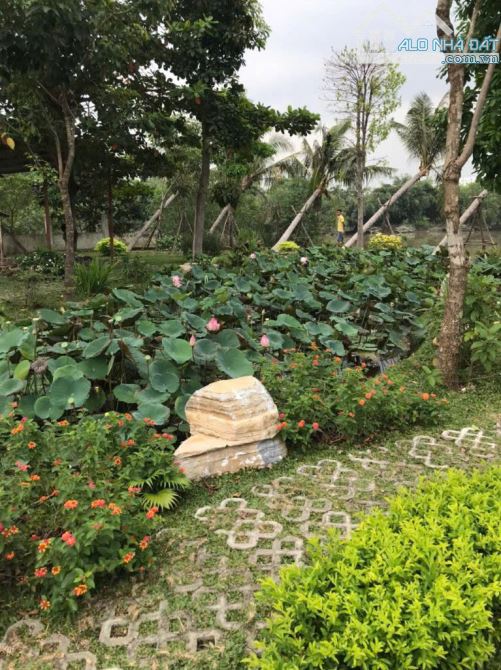 Cần Bán đất nhà phố view sông xã Phong Phú, Huyện Bình Chánh , sổ hồng, thổ cư giá rẻ. - 1
