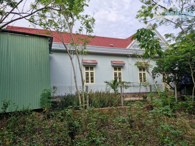 Bán nhà mặt tiền nhựa Thạnh Tây cách Bệnh viện Huyện Tân Biên chỉ 2km 10x78m thổ cư 100m2 - 1