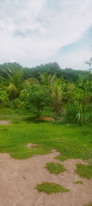 🧧🧧Chủ Cần Bán Gấp Lô Đất 3900m² Mặt tiền đường nhựa cách chợ sam Bua 500m - 1