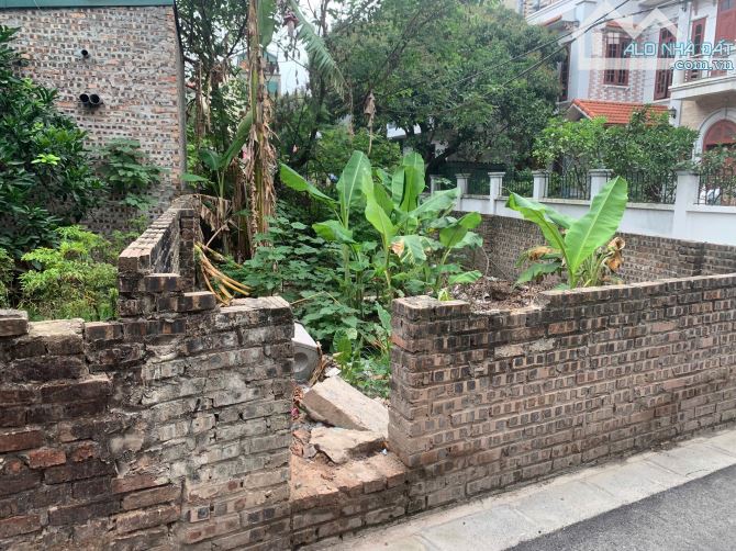 CHỈ HƠN 5.3 TỶ SỞ HỮU LÔ ĐẤT ĐẸP RỰC RỠ TẠI KIM Nỗ, ĐÔNG ANH - 1