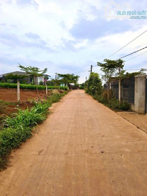 Bán gấp 10x30m Đất tại Đức Trọng , Lâm Đồng - 1