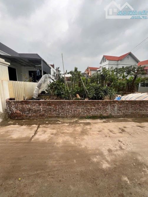 Cần bán đất 121m tại Phi liệt - 2
