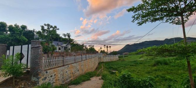 Mặt đường tỉnh lộ 446,chủ cần bán 1400m2 400m thổ cư thế đất cao thoáng view cánh đồng Yên - 2