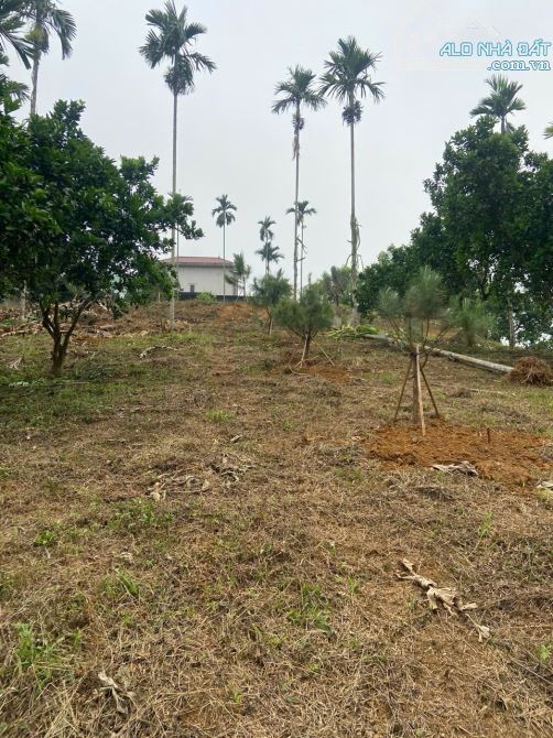 Chính chủ gửi bán  4400m2 đối diện khu nghỉ dưỡng Làng Châu Âu Yên Bình Thạch Thất - 2