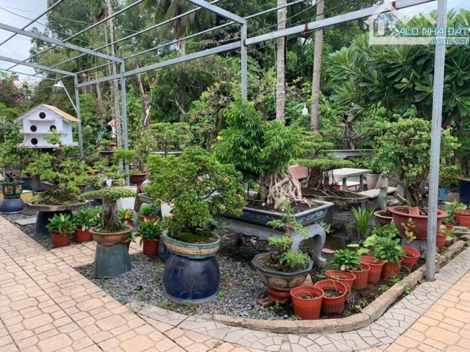 Bán đất thổ cư đường vườn lài phường an phú đông quận 12 - 2
